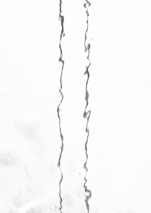 «В поисках покоя»