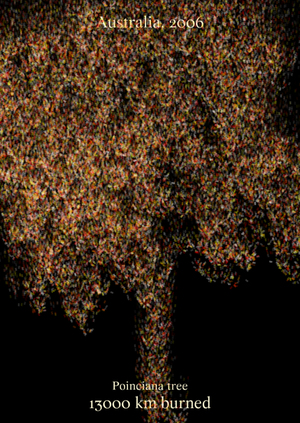 Лесные пожары мира