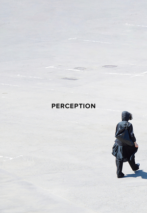 PERCEPTION FIRST ISSUE