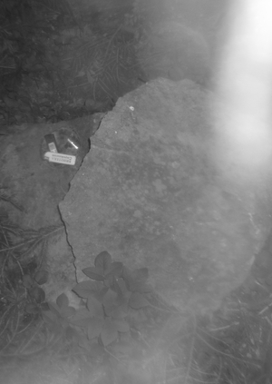 Оставленный очаг