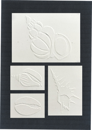 Собиратель ракушек