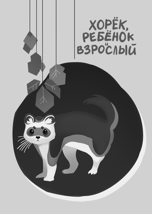 Хорёк, ребёнок и взрослый