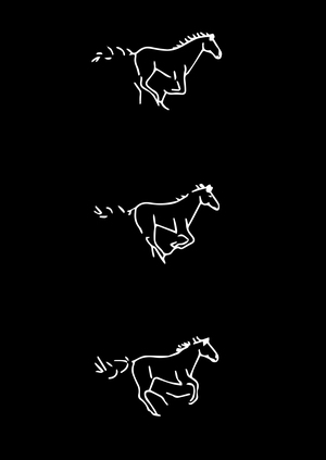 Лошадь в выезде