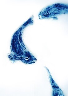 SO DEEP SO BLUE