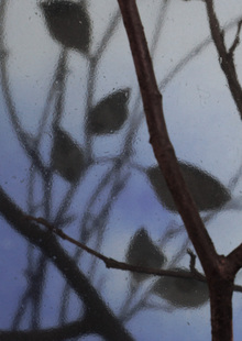Tiny Leaves&nbsp;— Memory