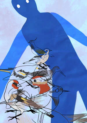 Birds