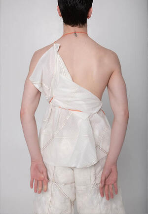 Фаза полета 