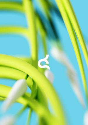 Магазин комнатных растений и аксессуаров Sprout 