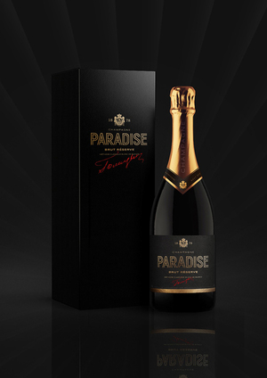 PARADISE дизайн концепт