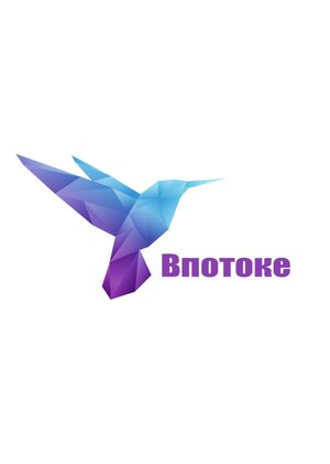  Центр Современной Культуры "Впотоке"