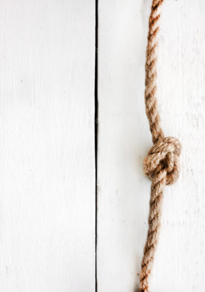 Серия опоясывающих докладов