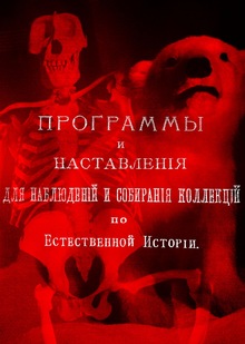 Экскурсия в зоологический музей