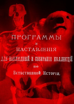 Экскурсия в зоологический музей