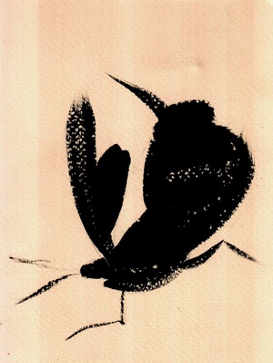 ПРОЕКТНАЯ ГРАФИКА В ДИЗАЙНЕ КОСТЮМА. Учебное пособие