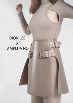 AMPLUA NO X DION LEE