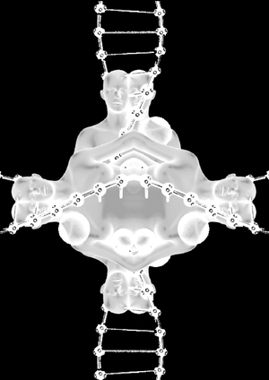 Metamorph