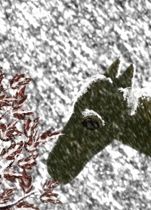 фильм "Мальчик" 