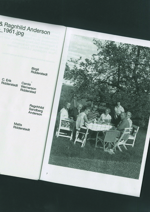 Anderson & Riddersteadt. Investigation book: Who took this picture?