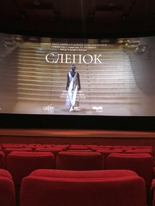 Образ Дианы Вишневой в&nbsp;фильме «Слепок»