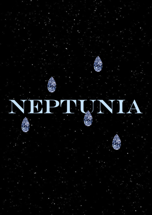 Ювелирный салон «Neptunia»