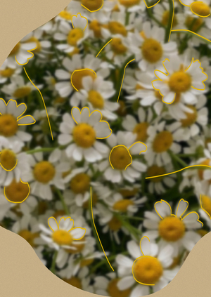 Flowmate