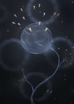 soul Interface soul Interface