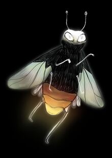 Light Light