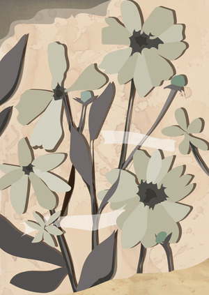 Гербарники