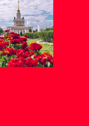 Визуальный стиль программы «Друзья ВДНХ»