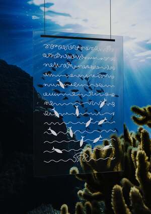 «‎Выпутайся». Клуб для рыб, которых поймали, но отпустили.