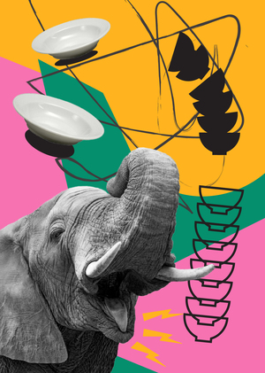 Краш-пространство «СЛОМ»