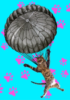 Агентство по раскрытию талантов животных «Коготь помощи»