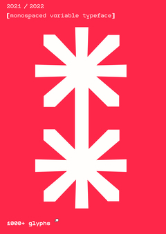 Feature Mono Typeface