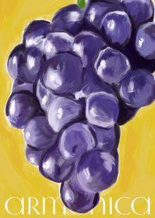 armenica armenica