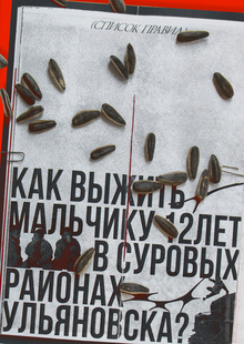 Зин «Как выжить мальчику 12 лет в суровых районах Ульяновска»