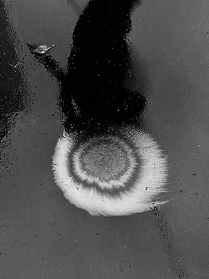 Оптические иллюзии