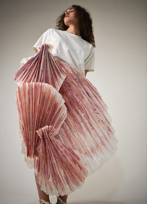 Protection in a seashell