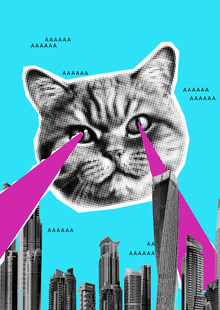 A&nbsp;Cat-Monster.
How it&nbsp;started vs&nbsp;How it&nbsp;ended?