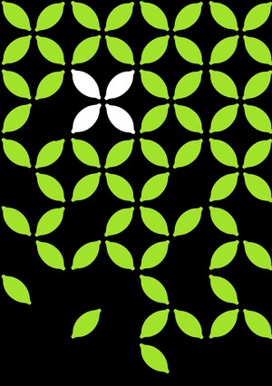 Betutu - индонезийские специи