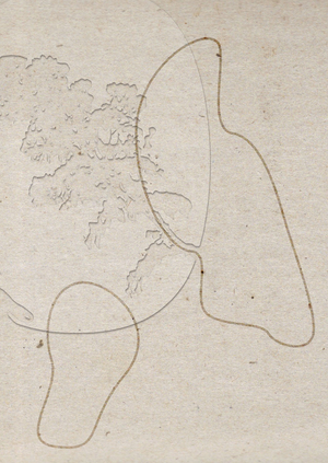 Бренд товаров, которые создают атмосферу спокойствия «внутри»