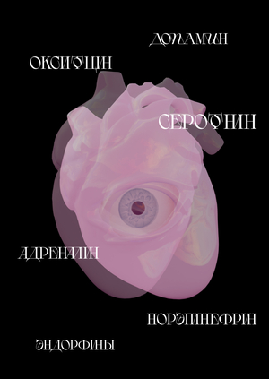 Как наука видит любовь 