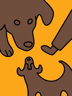 Будни собачника