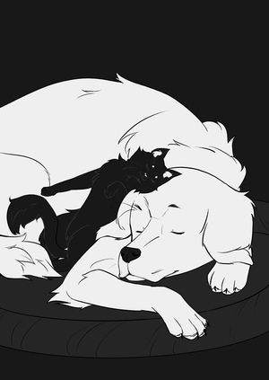 Забота это...