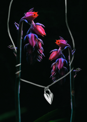 Витрина для Avgvst Jewelry