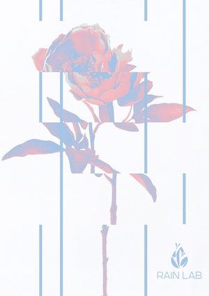 Лаборатория дождя