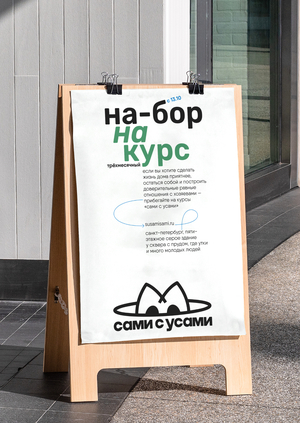 сами с усами: курсы кошек