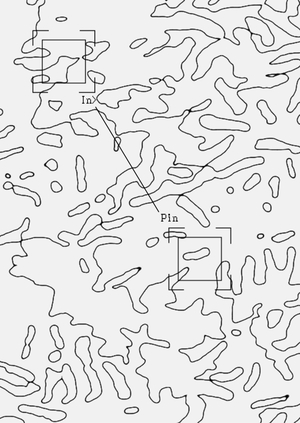 Leon Vynehall — In>Pin