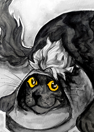 yellow eyes