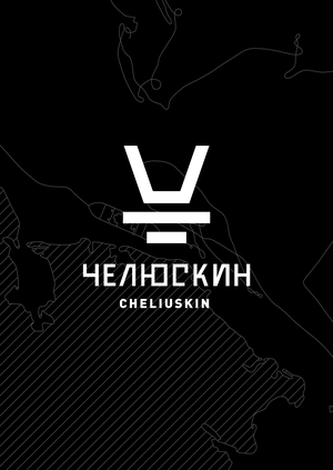 Бар «Челюскин»