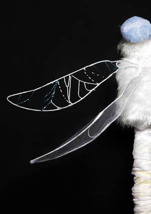 quattuor aeneis alis